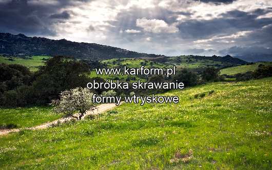 produkcja form wtryskowych