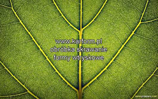 obróbka skrawaniem metali Wielkopolskie