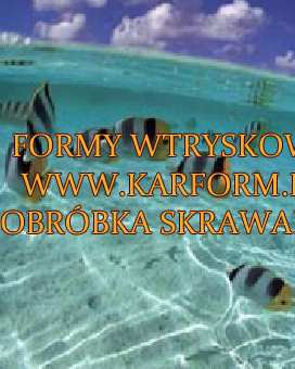 producent form wtryskowych