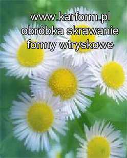 modernizacja form wtryskowych