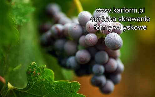 formy wtryskowe naprawa