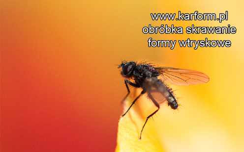 obróbka skrawaniem szlifowanie Włocławek