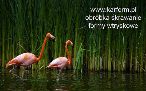 Ostrowiec Świętokrzyski elementy nawierzchni kolejowej producent