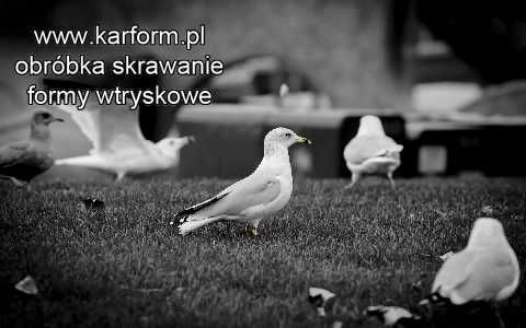 producent form wtryskowych