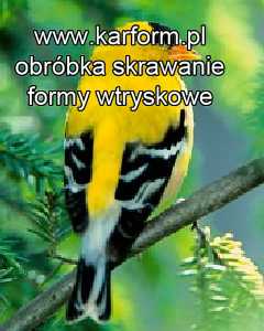 skrawaniem obróbka metalu wlkp