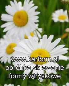 modernizacja form wtryskowych