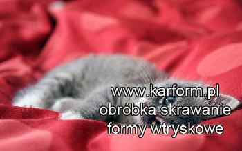 formy wtryskowe producent