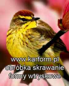 projektowanie form wtryskowych