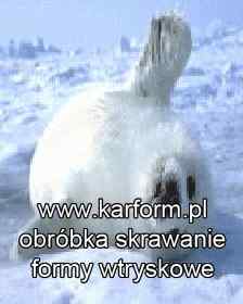 formy wtryskowe Poznań